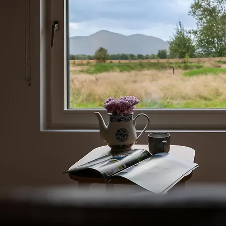 Lodge Glamping - Ross Road Killarney