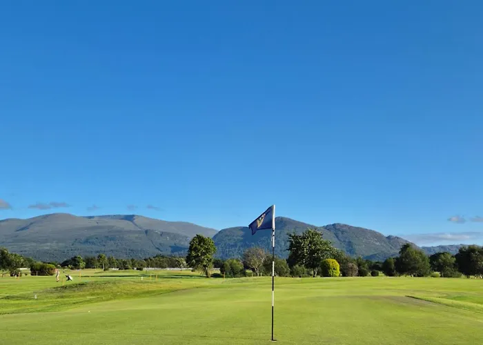 Lodge Glamping - Ross Road